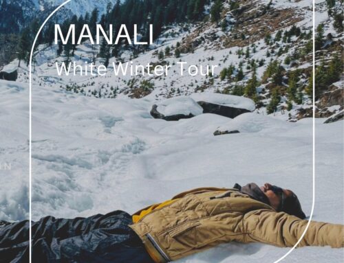 Manali – white winter